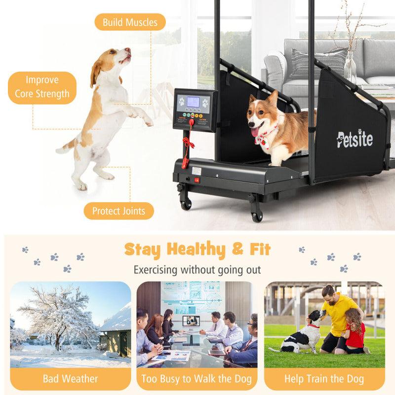 Indoor Pet Exercise Equipment with Remote Control